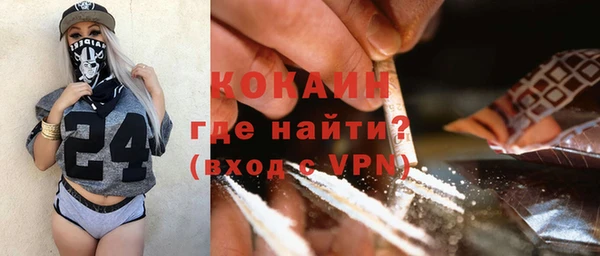 амф Верхний Тагил