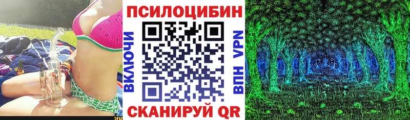 закладка  Катав-Ивановск  Галлюциногенные грибы ЛСД 